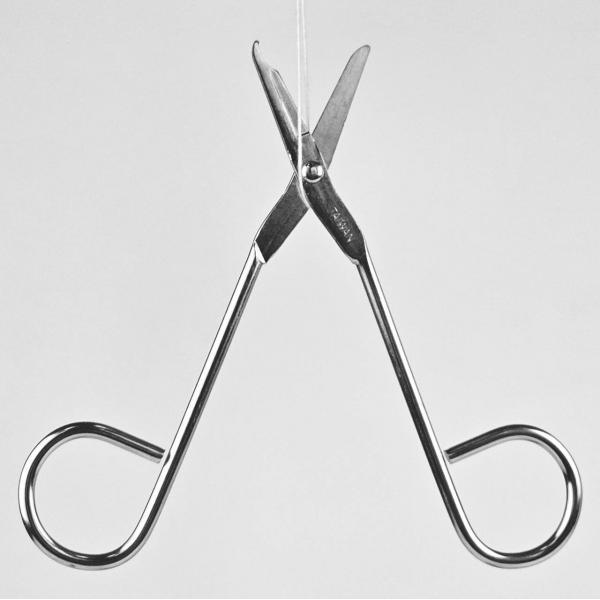 Stitch Littauer Scissors iron wire 4-1/2&quot;