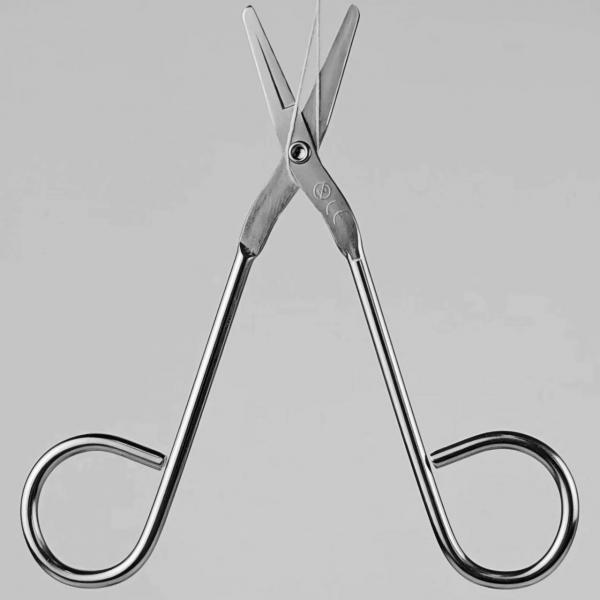 Blunt /Blunt Scissors iron wire 4-1/2&quot;